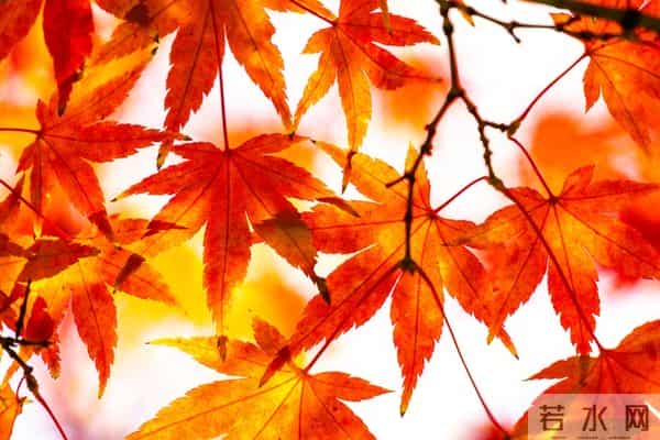 家宅旺不旺，不用请人看，看两个地方就知道，并非迷信