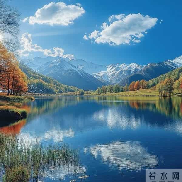 2026旺自己的微信头像｜26张