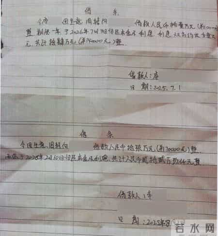 骗住家保姆贷款买宝马给自己开,向菜市场摊主借钱,“富婆”实则为限高“负婆”被刑拘