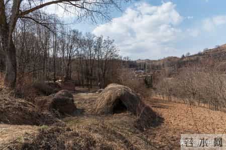 猎杀吧少年——（九十一）抓赌（下）