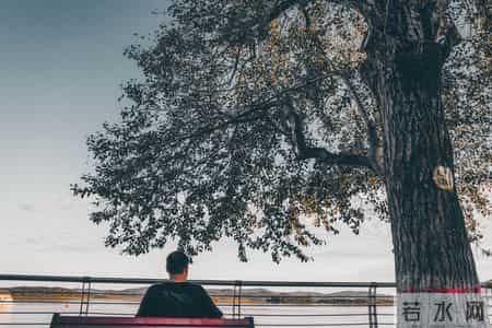 九边Pro-有钱后的两个阶段：先证明，后忘记