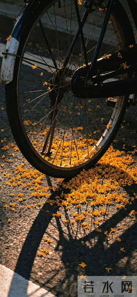 黑色简约版|美幻手机壁纸