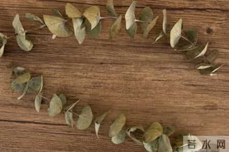 人老了,这6样,你占一样就了不起,全占简直是人生赢家!