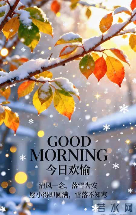 早安 ~ 今日的美好已装满：一缕阳光，一阵花香，满满好运。