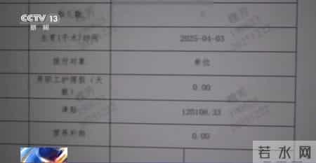 仅有15名员工的企业却有13人集中生育，申领了总计超100万元的生育保险，一起全链条造假骗取生育津贴的大案被揭开