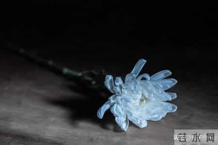 广东东莞2名消防员火灾救援不幸牺牲，1人为“90后”，1人为“00后”，拟申报评定为烈士