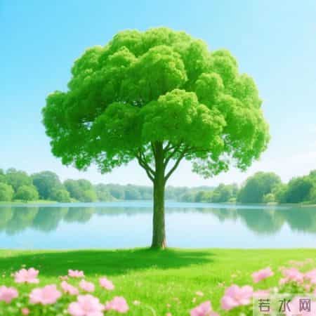 平平安安的微信头像