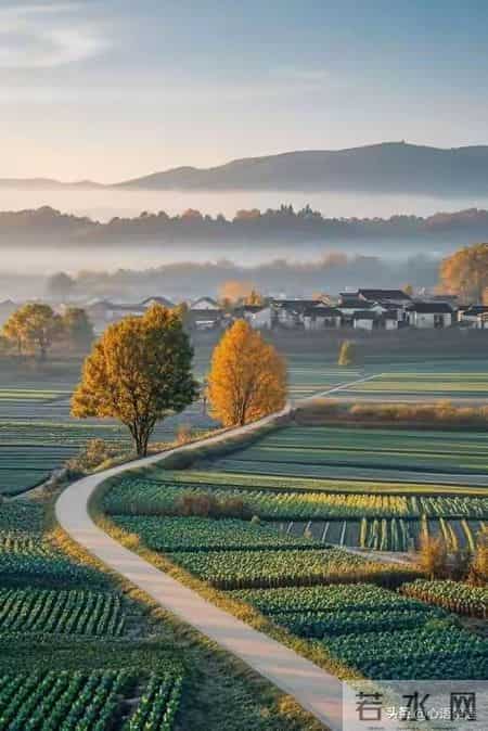 和五十岁的女人约会，她们更喜欢男人做这三件事