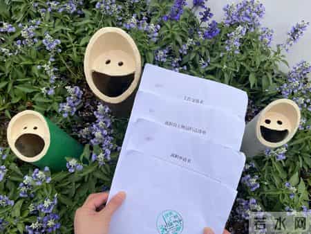 男子偶遇“一片被砍的竹子”，感觉被冒犯了，网友：谁的馊主意~