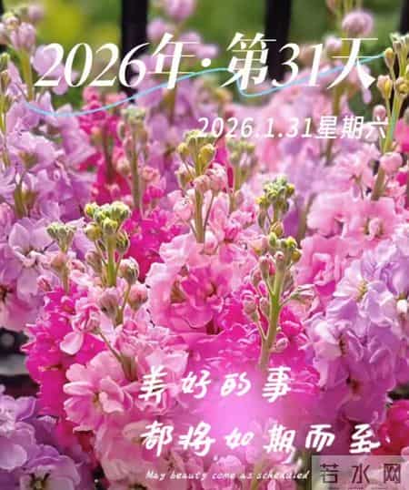 1月31日一月最后一天完美收官 开启二月好运 早上好图片 周末愉快