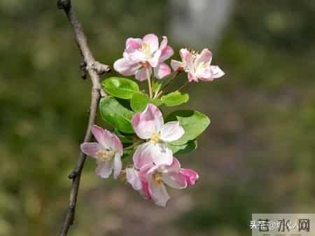 大伯来电要我卖房救他儿子，我回应，二十三年前的断绝书，您忘了