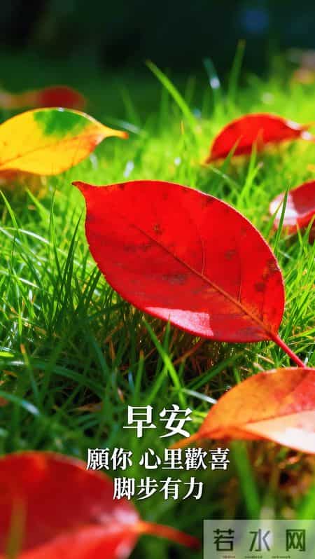 2026年1月27日周二早上好 早上好图片最新今天 温馨淡雅的早安图片