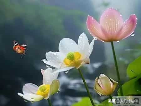 别只会亲吻拥抱！触碰女人这一软肋，才会让她彻底为你沦陷