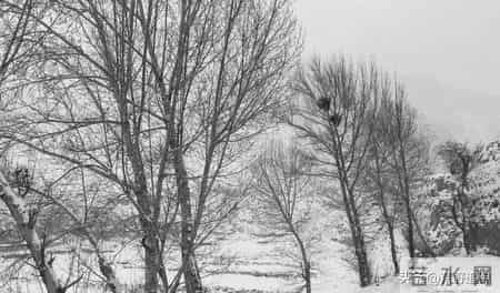 猎杀吧少年——（八十九）奇怪的人影