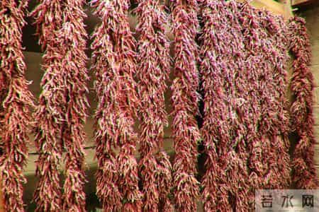 命里无福的女人，通常有这三个坏习惯，沾一个就够苦