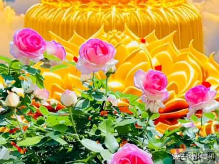 天意让你看到此文！不出三天，你必定会时来运转，苦尽甘来