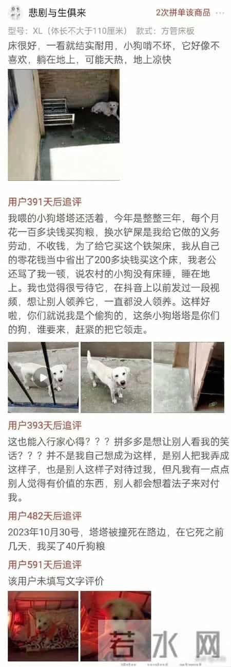 我在拼多多的评论区看到了真实的世界。