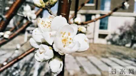 男人要治服一个女人，最有效的方式：两个字