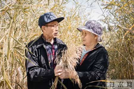 两性关系：活到80岁的夫妻，都坚持这六个睡眠习惯，第四条最关键