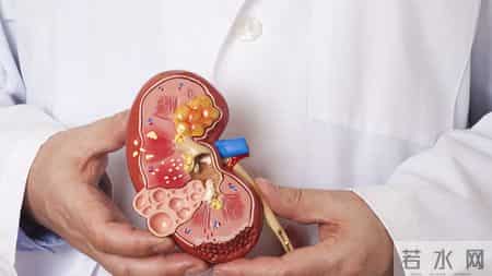 每天吃两口，给肝脏“洗个澡”，排净肝毒，脸色不黄、身体不淤？