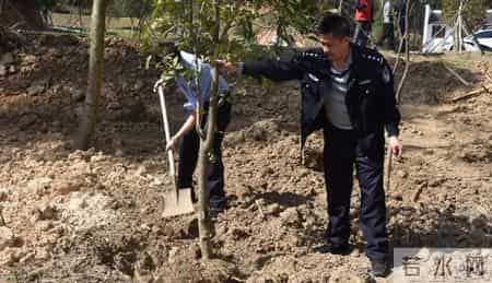 赔不起就种树! 2019年江苏男子河边诱捕2万多只, 判赔600万无力支付