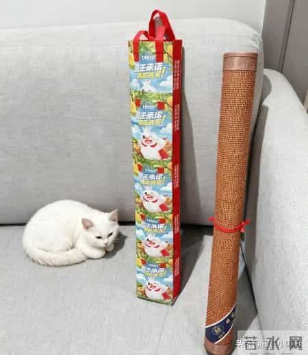 晒晒我婆婆的“0元收纳方式”，没花一分钱，家里收拾的井井有条