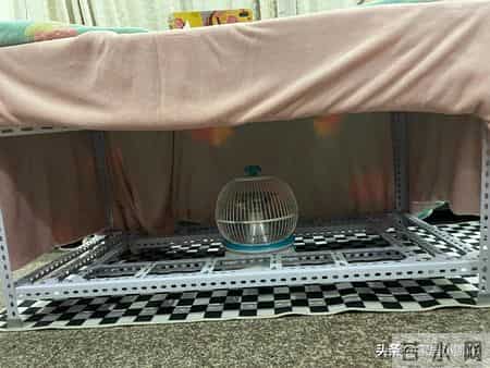 被网友们的“低成本取暖”方式惊到了！不花啥钱，温暖过冬