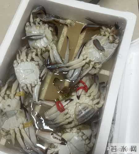 临近过年，有钱也别瞎买！这6样，白送都不要，别买了