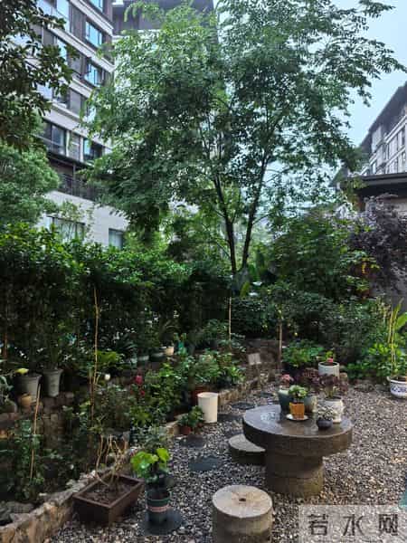 院子有个石磨盘，用来喝茶