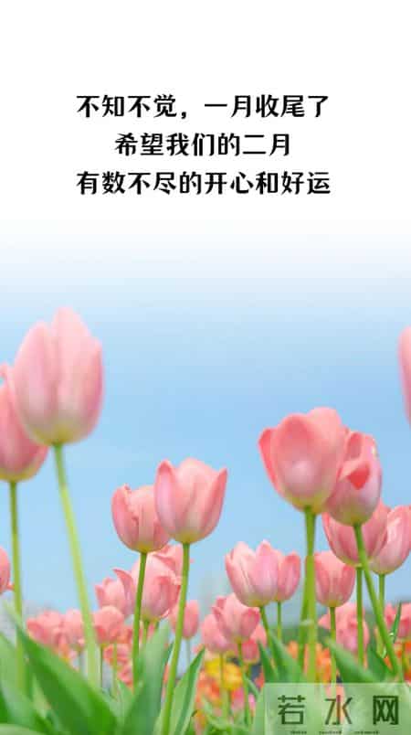 腊月十三早安文案合集|2026.1.31早安朋友圈美图