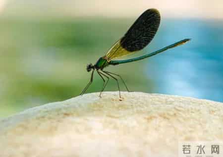 当一个人是你的正缘，信号会超级明显