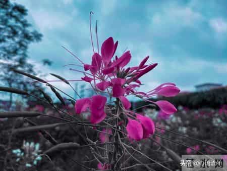 人这一辈子，说到底就三件事！忙完就该散场了，话糙理不糙