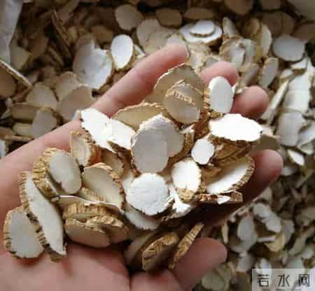 毁掉一锅肉的不是手艺，是那一片被你低估的白芷