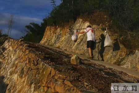 弟媳海外定居，婆婆住我家12年，寿宴上弟弟一句话让我红了眼