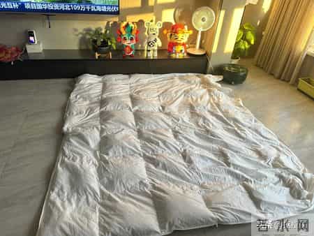 不穿的“羽绒服”千万别扔!学中年阿姨这样改造,一件都不会浪费