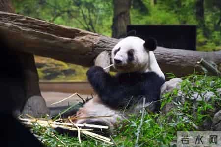 新增54处“电子警察”!深圳交警最新公告