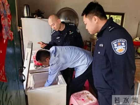 1只都不能抓！海南男子用笼子抓57只，连皮带肉放冰箱