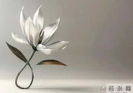 焦虑本质就是一种处于“怕”的状态，摆脱焦虑的方法，就一句话