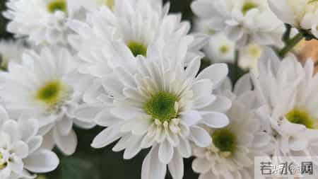 1月7日公布3月30实施，殡葬新规能让白事回归理性吗