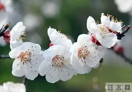 对于孩子,父母的眼光,不能太散了,也不不能太聚焦了