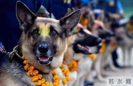 48张老照片看奇闻奇事，爱因斯坦合影卓别林，沙漠中的绿洲，在建中的埃菲尔铁塔