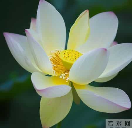 你要明白，男人只有和不喜欢的女人，才会这么相处，没人说但你要懂