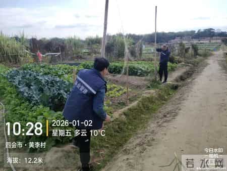 四会成功侦破一宗非法捕猎野生鸟类案件！