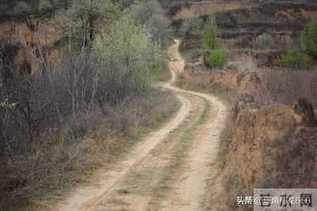 95年得知我准备去相亲，邻居的女儿连着三天来我家借盐，母亲笑了