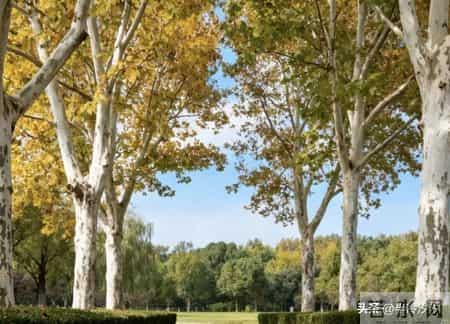 退休后，关系再好，也不要请这5种人吃饭