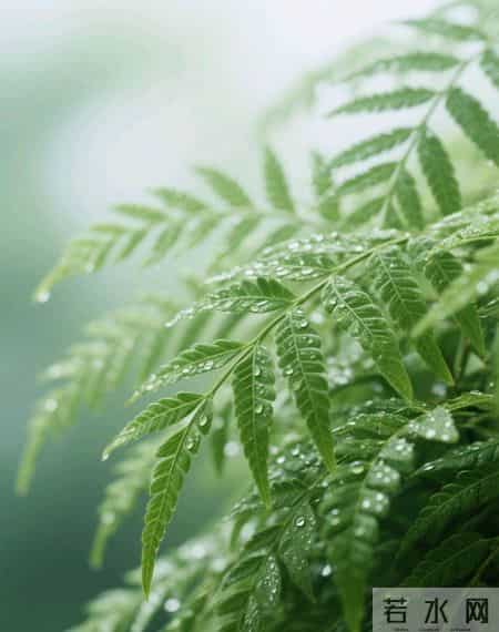 晚年钞票压箱底的四个星座，根本闲不下来