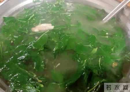 广东恩平，一家开在田野的大排档，每天满座，食客开300公里车来吃，碌鹅不预订吃不到