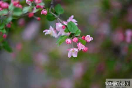大伯来电要我卖房救他儿子，我回应，二十三年前的断绝书，您忘了