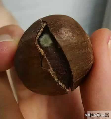 临近过年，有钱也别瞎买！这6样，白送都不要，别买了