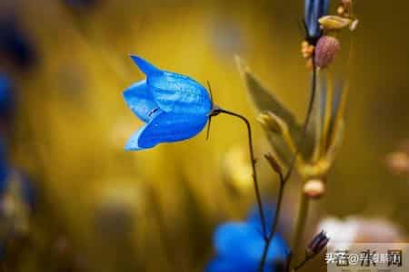 老公把6000生活费降到2500，说我带娃性价比太低，我给他7000带娃